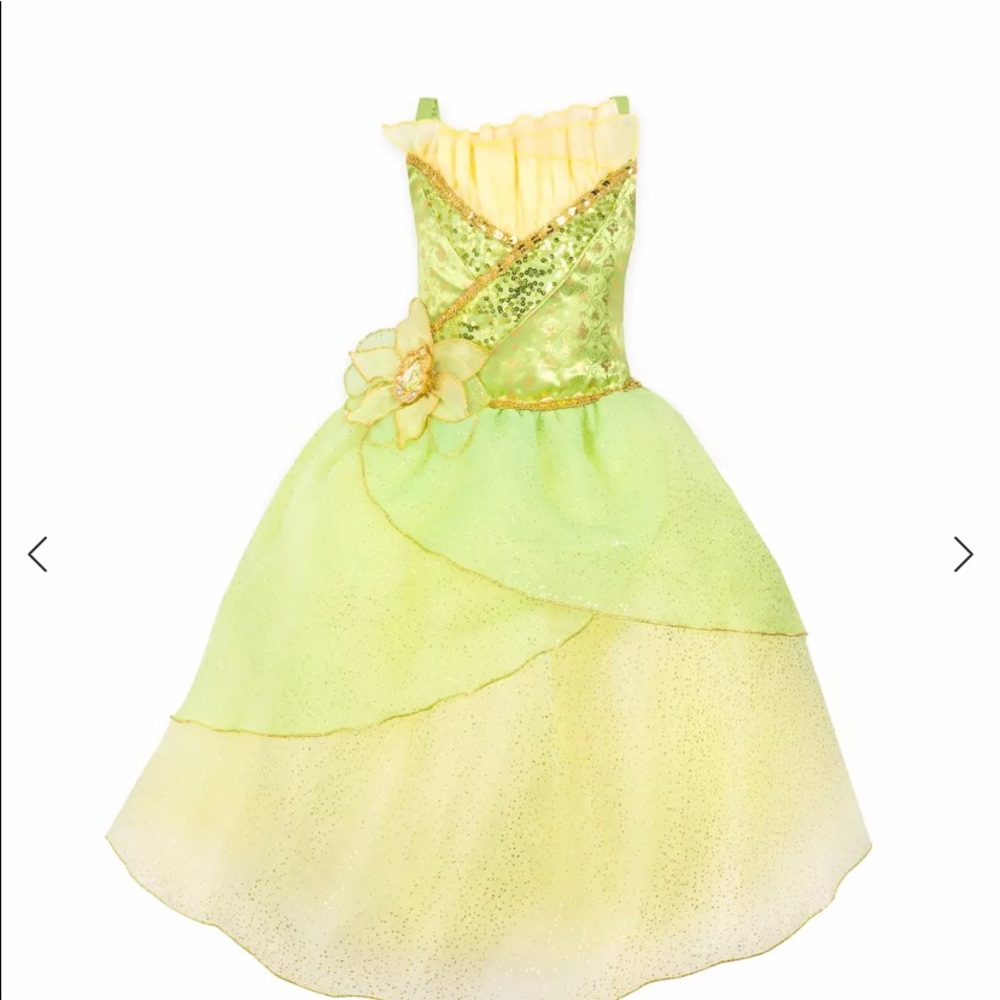 Princess tiana costume size 3